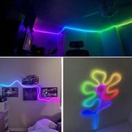 ️GG ️ RGB Neon LED Strip, 1-5M, IP67 Waterproof, USB/Tuya App Control for Home Decor PH