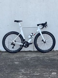 De Rosa SK 碳纖維氣動破風公路車架 🇮🇹 size 50、52 disc aero roadbike