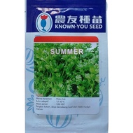 REPACK Benih Seledri Summer