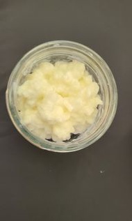Milk Kefir Grain