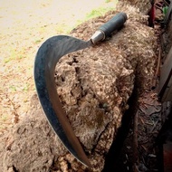 ARIT ASLI MADURA , ARIT RUMPUT , ARIT MADURA ASLI BAJA PER SUPER TAJAM