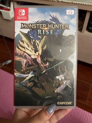 Monster hunter rise