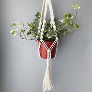 麻繩編織盆栽植物吊籃/綠葉植物/蕨類/空氣鳳梨