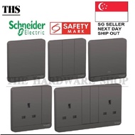 Schneider Electric AvatarOn Socket and Switch （Dark Grey）