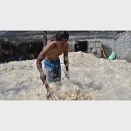Kapuk Randu Murah/Kapuk Randu Asli/Kapuk jawa/Kapas jawa /