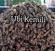 UBI KEMILI (UBI KELING) KENTANG JEMBUT 1KG