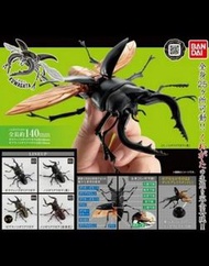 Bandai Dango Mushi Kuwagata Dangomushi 140mm 超巨大 秋形蟲 獨角仙 昆蟲 扭蛋 全 4 種 01 鋸鍬形蟲 ( 黑色 ) 02 鋸鍬形蟲 ( 赤茶色 ) 