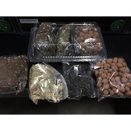 Terrarium DIY Starter Kit