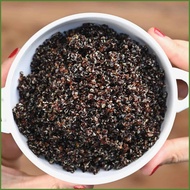 【100% Organic】500g | 1kg ORGANIC BLACK QUINOA SUPERFOOD IMPORTED FROM BOLIVIA