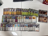 寶可夢卡牌 竹蘭的烈咬陸鯊牌組