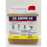 4LIT CH AMINE 48 / Rumput Rampai / Keladi Agas