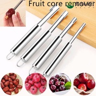 RALPH Fruit Core Seed Remover Pear Hawthorn Creative Stainless Steel 4Pcs/Set 4 Sizes Kitchen Gadget
