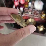 Batu Fosil Kijing Bungkem alami