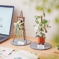 紙植栽模型【DIY材料包】白斑龜背芋.鹿角蕨.紙風景