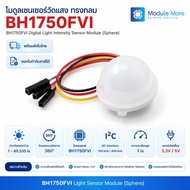 BH1750FVI Digital Light Intensity Sensor Module (Ambient Sphere)