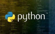 程序編寫 java python algorithm