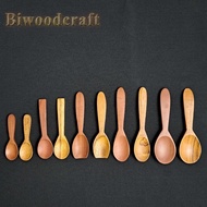L - Various Mini Spice Spoons - Salt Spoons, Sambal Ice Cream Biwood ||