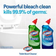 Clorox Toilet Bowl Cleaner - Rain Clean