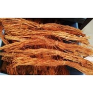 Sintuk Root (Indian) 5 Bunch