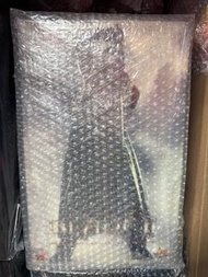 現貨全新未開 Hottoys Hot Toys MMS113 BLADE II 刀鋒戰士2  幽靈刺客2：變種復活  Avengers Doomsday Blade Wesley Snipes 1/6