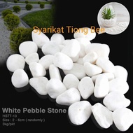 White Stone/batu putih/batu hiasan/PEBBLE STONE / BATU AKUARIUAM PUTIH / BATU KACANG/pokok skybird/p