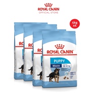 Royal Canin Maxi Puppy (4kg x 4) Dry Dog Food - Size Health Nutrition