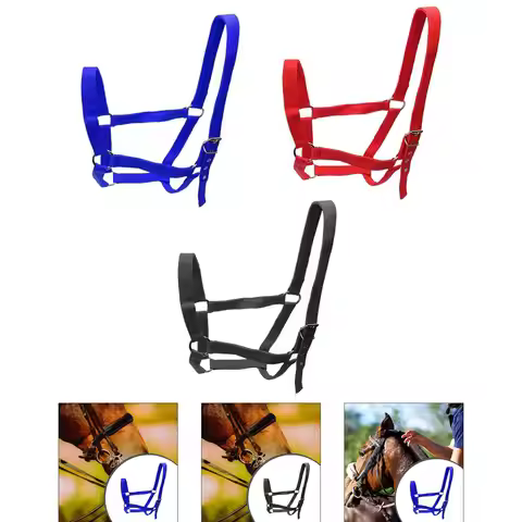 Horse Rope Halter PP Material Adjustable Holder Halter Horses Outdoor Groundwork Lead Rope Supply