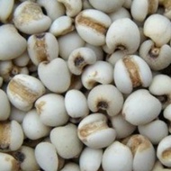 Barley Chinese Barley 1kg