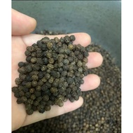 lada hitam lada hitam lada hitam