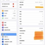 iPad Air 4代 256GB Cellular