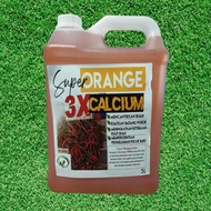 Super Orange 3x Calcium Baja Abe Mat Bukhari D Tani Baja Fertigasi Subur Pokok Beratkan Dan Tebalkan Buah