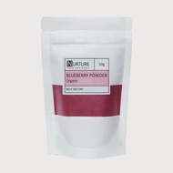 Organic Blueberry Fruit Powder