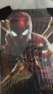 Hot Toys Iron Spider 1/6 比例珍藏人偶 Hottoys lron Spider
Spiderman MMS482