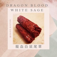 龍血白鼠尾草 🐉美國空運抵港🇺🇸