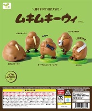 日本正版YELL 壯幾維鳥扭蛋 肌肉鍛鍊健身創意小雞潮玩擺飾模型