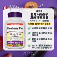 [現貨][包郵] 維柏健 Webber naturals 藍莓濃縮精華膠囊 Blueberry Plus  - 120粒 維持眼部健康