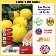 Sun Melon Honeybee (10 Seeds) Benih Melon Manis Yellow 太阳瓜种子 蜜瓜 Jom Tanam by Crop Power JT131