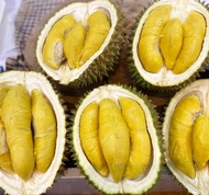 Terlaris Durian Musang King Fresh Utuh Malaysia - Musangking Fresh