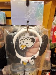 日本正版 日本 olaf Snoopy 公仔  snoopy 日本  usj  usj代購 日本環球影城 日本代購   日本環球影城代購 日本usj代購 史路比 日本snoopy代購 usj 公仔 日