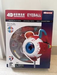 4D Master 人體眼球解剖模型