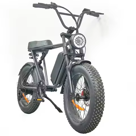 Electric bike C91 powerful 2000w dual motor 48v 20ah lithium battery Electric Bicycle 20 inch fat ti