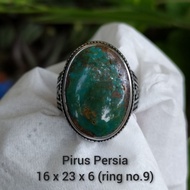 Pirus persia hijau lawas