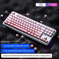 Transparent Light Wolf Spider PBT Keycaps 136-Key Set Side-Engraved Complete Personalized Keycaps fo