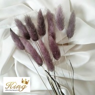 Dried Candy Colour Lagurus Rabbit/ Bunny Tail Cream White Bunga Kering - BLACK