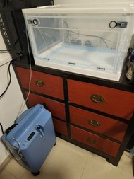 飛利浦製氧機EVERFLO Q 5L