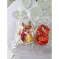 Model Game Blaziken-Tomy Pokemon Figure-Monster Ball Choco Gashapon (7)