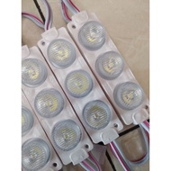 LED VARIATION JUMBO 12V - 3 LED