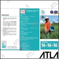 Npk Mutiara 16-16-16 Fertilizer 1Kgbiru Meroke Plant Nutrition 16 16 16 Factory Packaging 1 Kg Fn024
