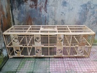 Dongdang Merpati 8 Pintu Kayu Jati Jeruji Bambu | Dondang Merpati Kayu Jati Asli | Kandang Merpati