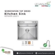 LEVANZO Workstation Top Series Kitchen Sink WST6655-(2621)